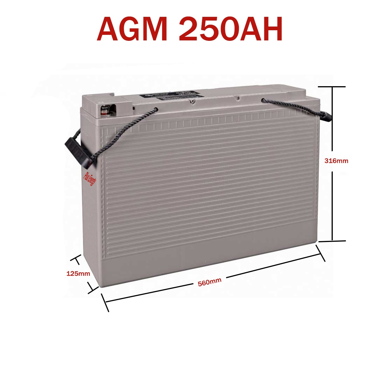 agm 250ah detalle.jpg